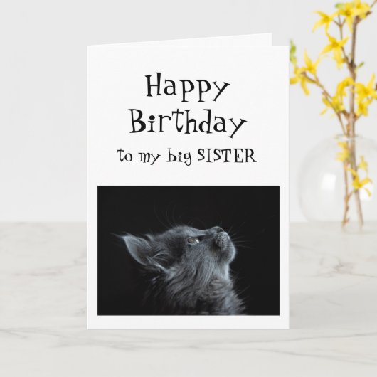 私が姉妹の誕生日動物のユーモアに調べる誰か カード (黄色い花)