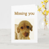 私が恋しく思かわいい悲しい犬の動物芸術 カード (黄色い花)