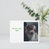 私が恋しく思? ポストカード (スタンド正面)