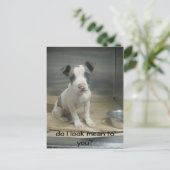 私が意地悪に見える？ ポストカード (スタンド正面)