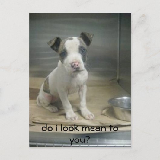 私が意地悪に見える？ ポストカード (正面)