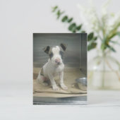 私が意地悪に見える？ ポストカード (スタンド正面)