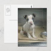 私が意地悪に見える？ ポストカード (正面/裏面)