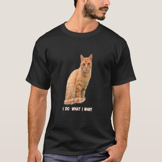 私が欲しいものはオレンジのタビー猫1 Tシャツ (正面)