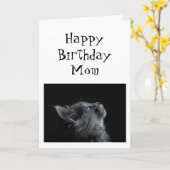 私が母に尊敬する誰か誕生日動物のユーモア カード (黄色い花)