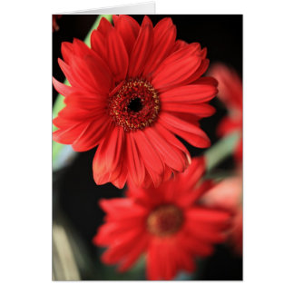 私が浮気をした時