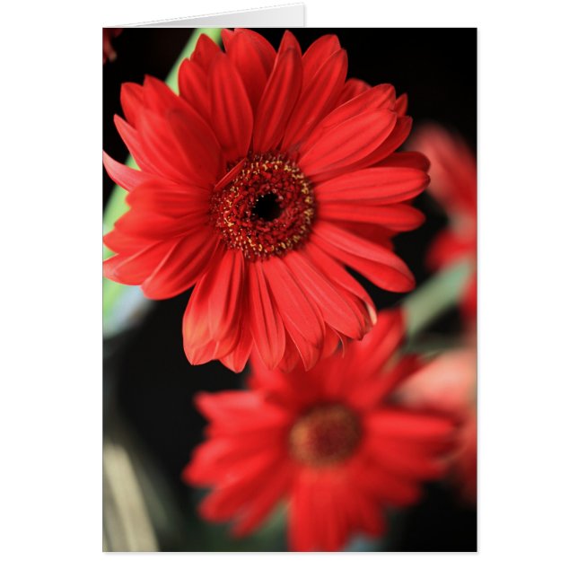 私が浮気をした時 (正面)