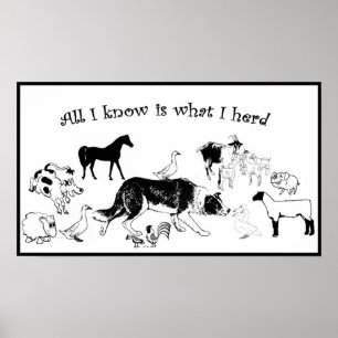 私が知っているすべてはIのherd~Borderのコリーのプリント何です ポスター