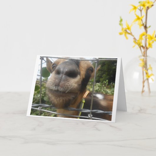 私が私のハッピーバースデーを望むことができるように カード (黄色い花)