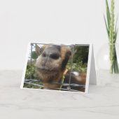 私が私のハッピーバースデーを望むことができるように カード (正面)