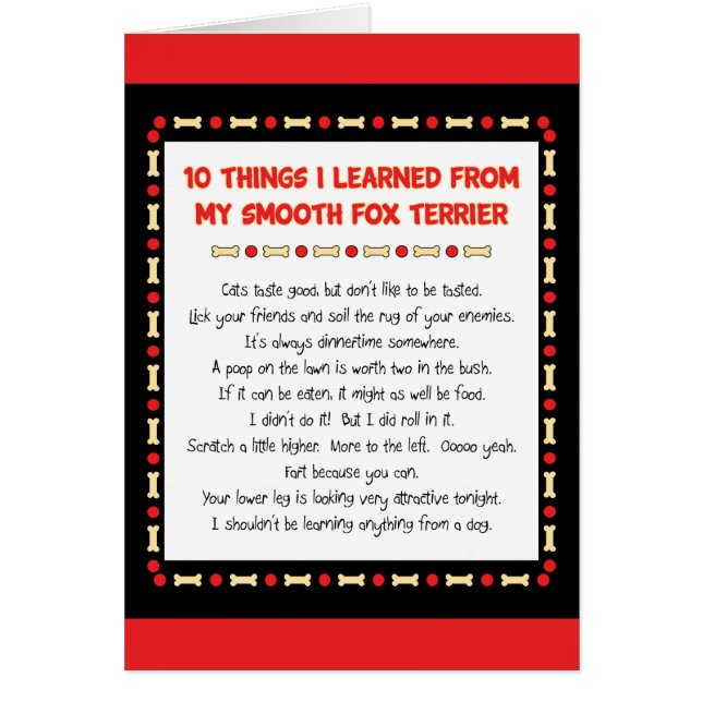 私が私の滑らかなフォックステリア犬から学んだおもしろいな事 (正面)