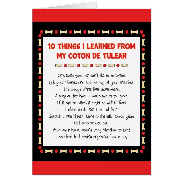 私が私のCoton de Tulearから学んだおもしろいな事 (正面)