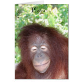 私が美しいから憎むな (正面)