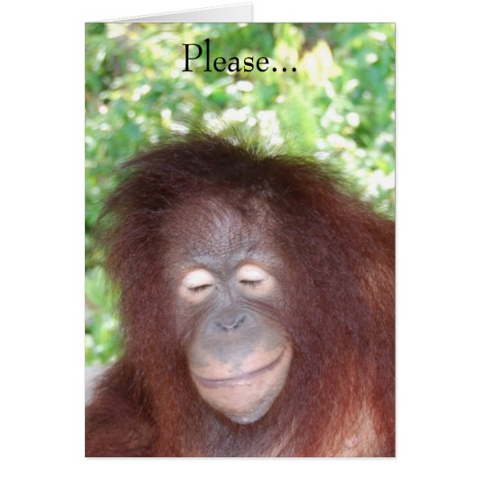 私が美しいから憎むな (正面)