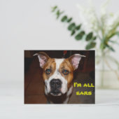 私が耳いっぱいの葉書 ポストカード (スタンド正面)