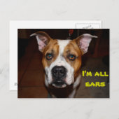 私が耳いっぱいの葉書 ポストカード (正面/裏面)