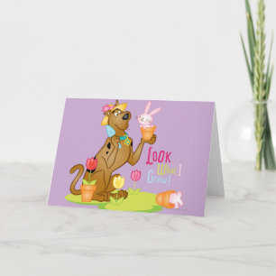 私が育ったものを見る シーズンカード