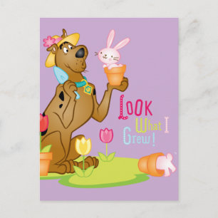 私が育ったものを見る ポストカード