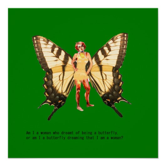 私が蝶になる夢を見た女性か？ ポスター (正面)