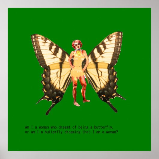 私が蝶になる夢を見た女性か？ ポスター (正面)
