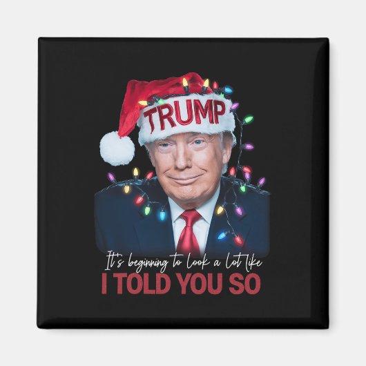 私が言ったように見え始めているので マグネット (正面)