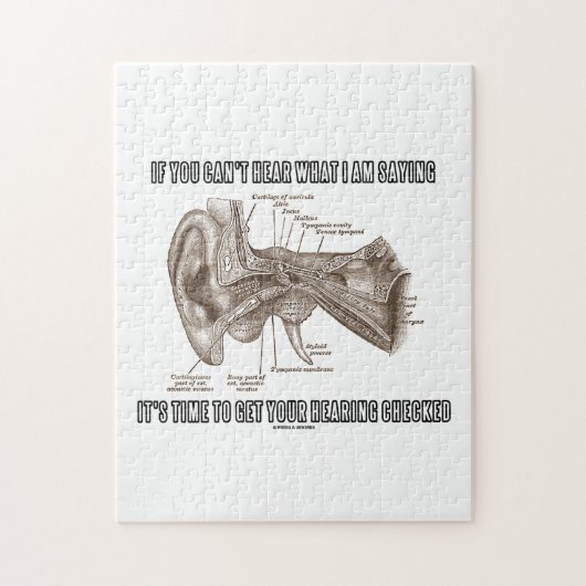私が言っていることを聞くことができなければ(耳の解剖学) ジグソーパズル (縦)