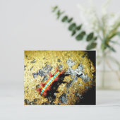 私が違うあなたに？/夜遊び美しい ポストカード (スタンド正面)