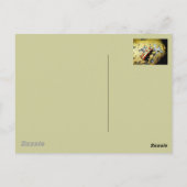 私が違うあなたに？/夜遊び美しい ポストカード (裏面)