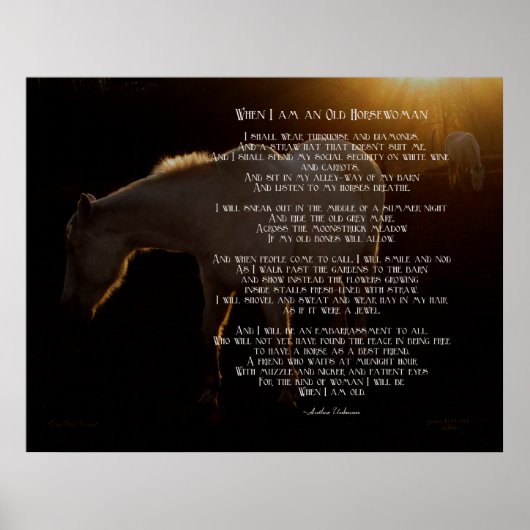 私が馬に乗った老婆の時 ポスター (正面)