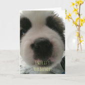 私が鼻を向けるあなたの誕生日カード カード (黄色い花)