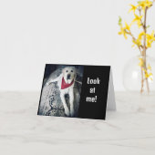 私が「ハッピーバースデー」を直接言うことができれば カード (黄色い花)