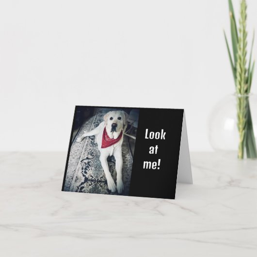 私が「ハッピーバースデー」を直接言うことができれば カード (正面)