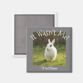 私じゃない！カスタムペット犬バニー猫の子 マグネット (正面/裏面)