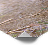 私じゃない！ ポスター (角)