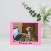 私じゃなくて…ポストカード ポストカード (スタンド正面)