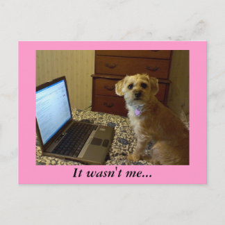 私じゃなくて…ポストカード ポストカード