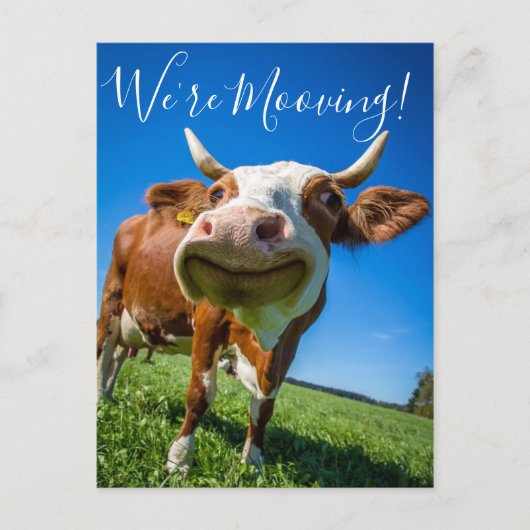 私たちおもしろいは動く発表の牛を動かしている 案内ポストカード (正面)
