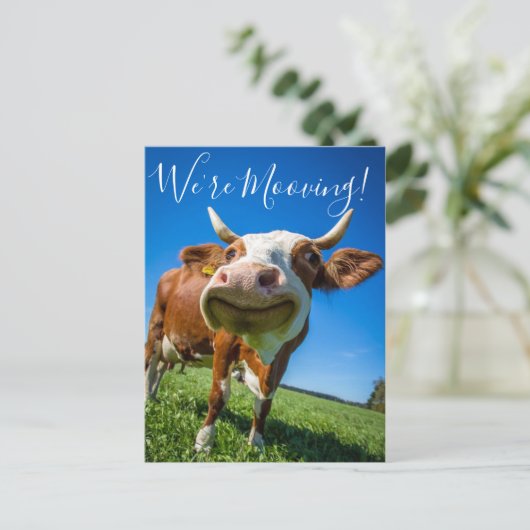 私たちおもしろいは動く発表の牛を動かしている 案内ポストカード (スタンド正面)