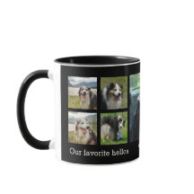 私たちお気に入りののヘルロと最も骨の折れるグッドビスのペット写真