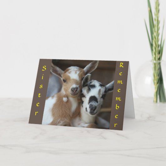 私たちがキッズシスターだった頃を思い出す"カード カード (正面)