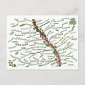 私たちがキリストの中にいる者 – 85私たちに神与えの名前を付ける ポストカード (正面)