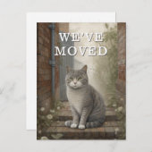 私たちが動き出した猫の発表 案内ポストカード (正面/裏面)