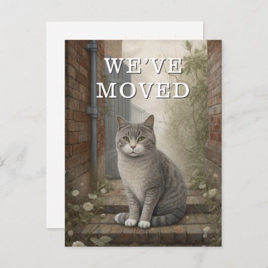 私たちが動き出した猫の発表 案内ポストカード (正面/裏面)