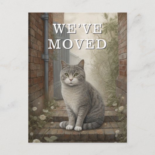 私たちが動き出した猫の発表 案内ポストカード (正面)