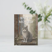 私たちが動き出した猫の発表 案内ポストカード (スタンド正面)