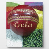 私たちが好きなゲームをクリッ遊クして食べ、睡眠とDre フォトプラーク (正面)