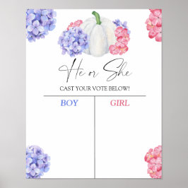 私たちが知っている男の子または女の子は性別の表を明らかにするチャート ポスター