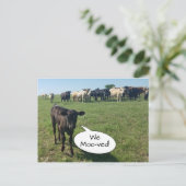 私たちが移動したアドレスの牛の変更 ポストカード (スタンド正面)