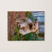 私たちのウィートテリア私たちの家族ペット ジグソーパズル (横)