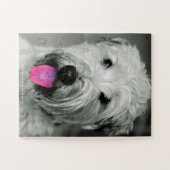 私たちのウィートテリア私たちの家族ペット ジグソーパズル (横)